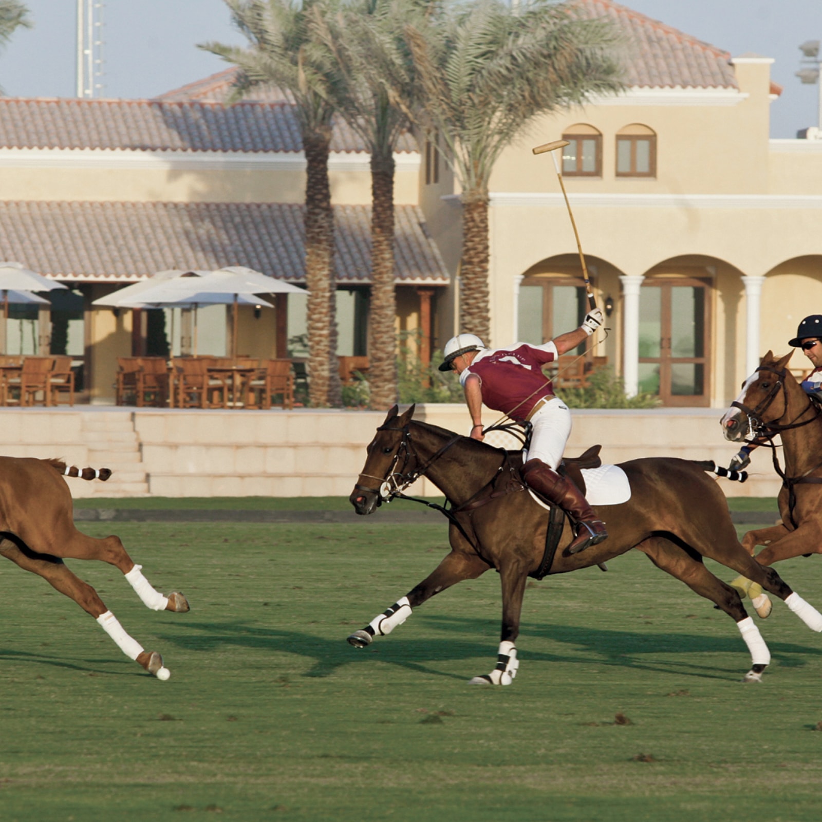 camelia-by-emaar-town-houses-villas-dubai-uae